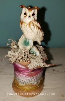 Owl Assemblage #6